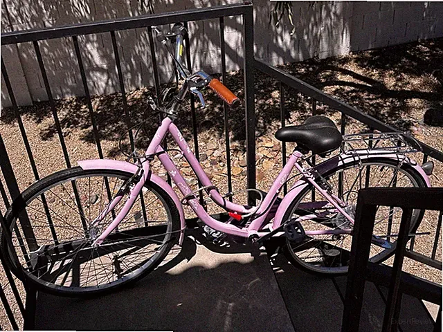 Bicycle cruiser for women